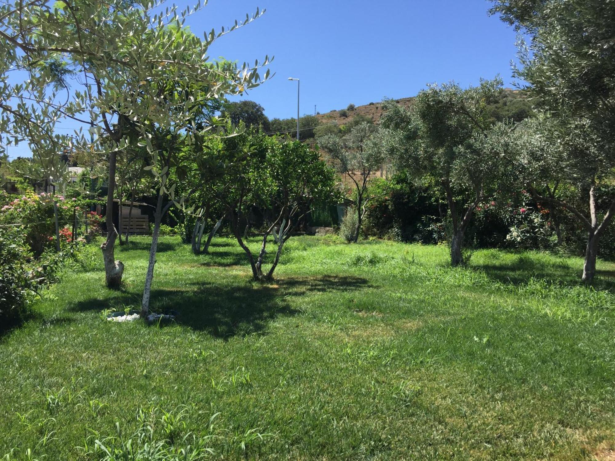 Sakiz Tinyhouse Hotell Urla Exteriör bild