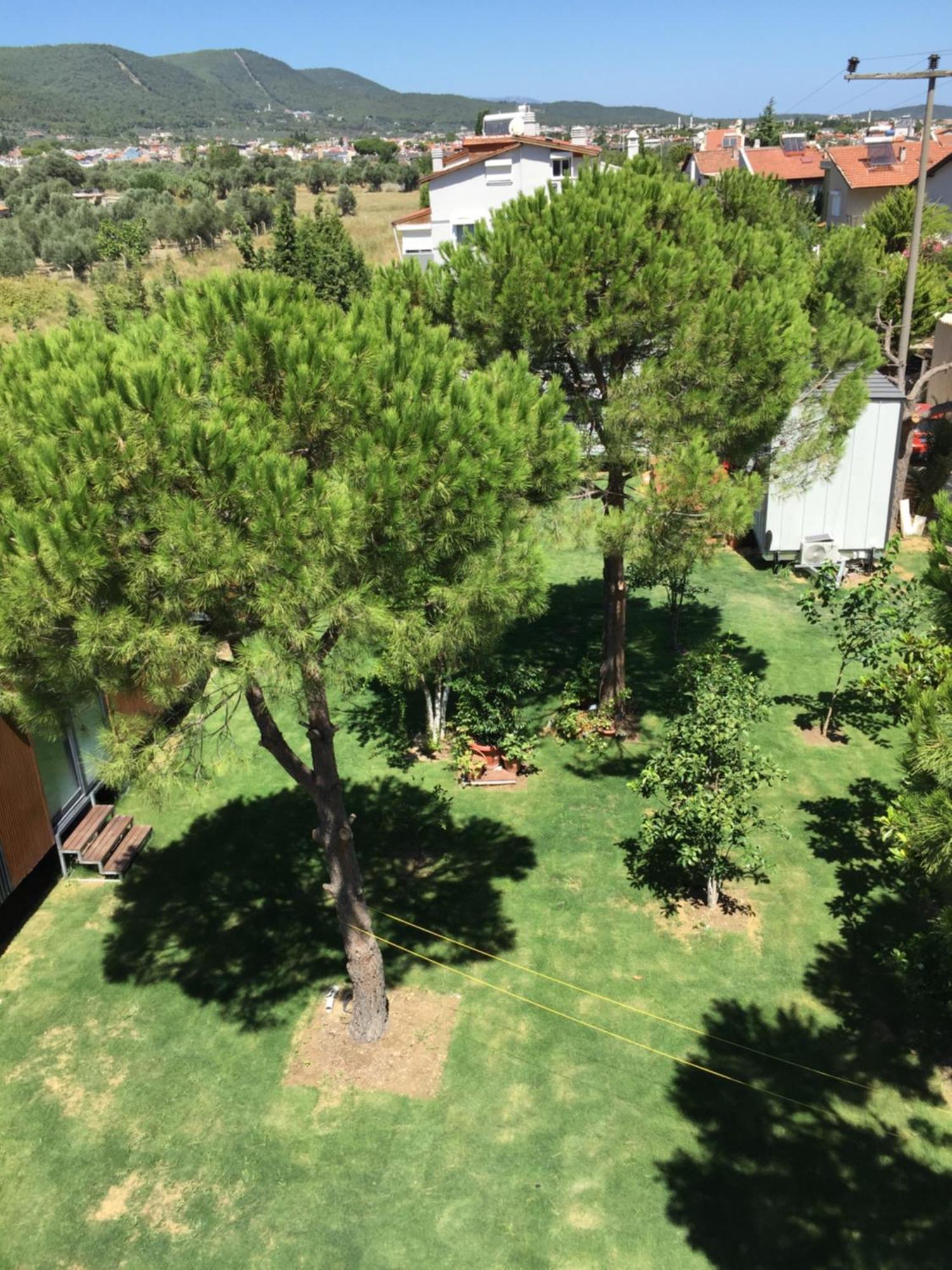 Sakiz Tinyhouse Hotell Urla Exteriör bild